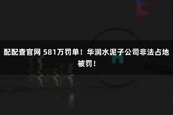 配配查官网 581万罚单！华润水泥子公司非法占地被罚！