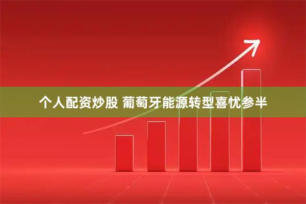 个人配资炒股 葡萄牙能源转型喜忧参半